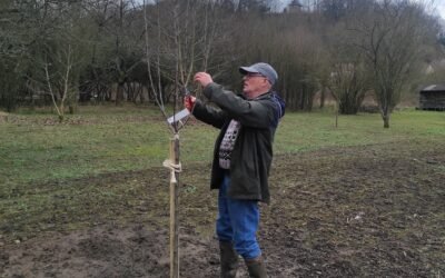 La taille de formation