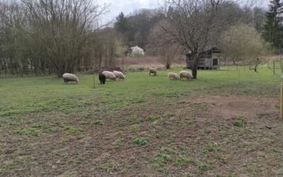 Accident de parcours