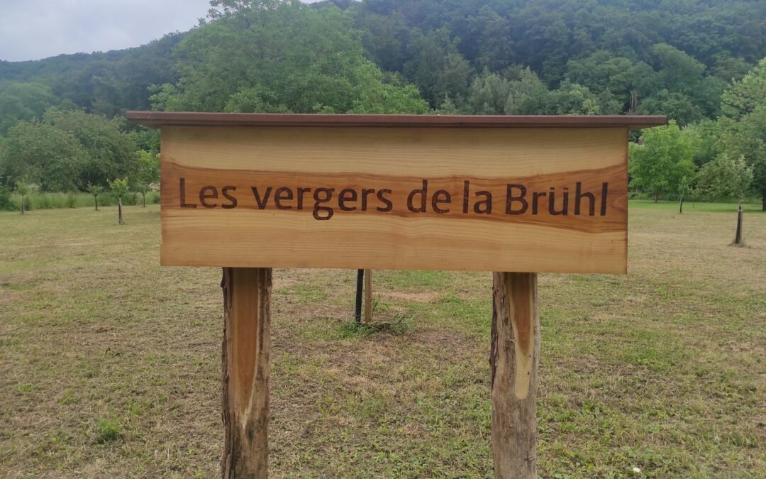 La pancarte « Les Vergers de la Bruhl »