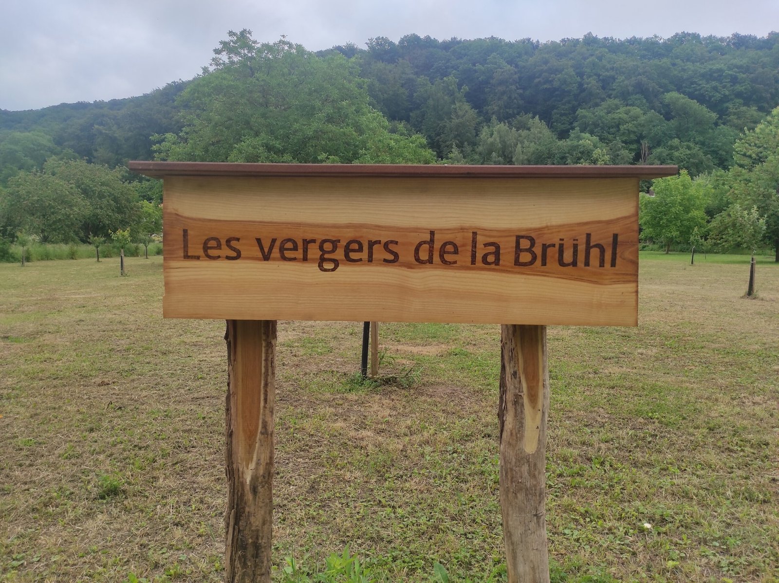 La pancarte « Les Vergers de la Bruhl »